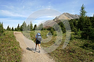 Hiking Towards Mount Rae