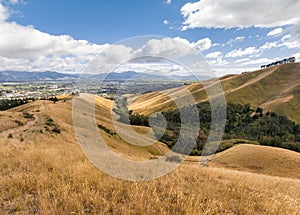 hiking track across Wither Hills in Blenheim  South Island  New Zealand