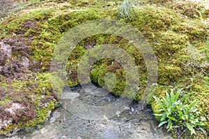 Hiking track of the Pertes de L`Ain, Losses of the Ain, Jura