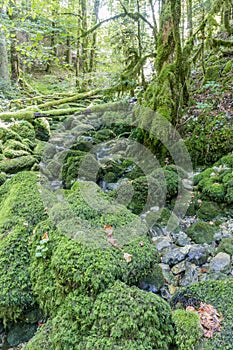 Hiking track of the Pertes de L`Ain, Losses of the Ain, Jura