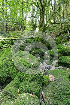 Hiking track of the Pertes de L`Ain, Losses of the Ain, Jura