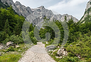 Hiking track in Triglav National Park, Slovenia