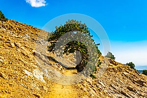 Hiking track at Troodos mountains on Cyprus