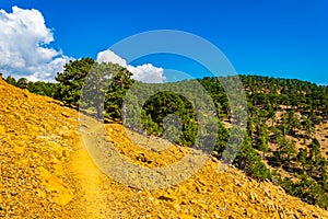 Hiking track at Troodos mountains on Cyprus