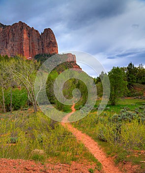 Hiking trail