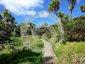 Hiking trail