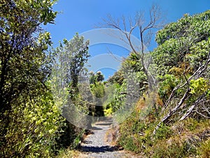 Hiking trail