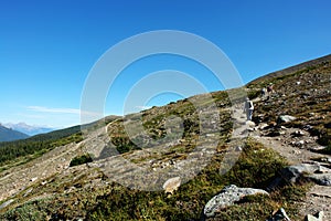 Hiking trail