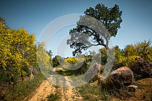 Hiking Trail