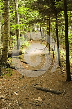 Hiking Trail