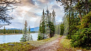 Hiking trail along the Athabasca River