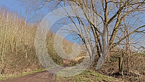 Hiking trail along bare trees in the Walloniann countryside