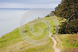 Hiking trail along coastline