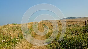 Hiking trail along a field on the ciffs on the French Northe sea coast, photo