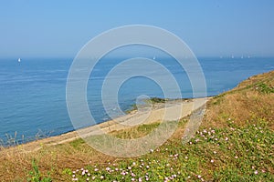 Hiking trail along a field with flowers on the ciffs blue Northe sea coast, photo