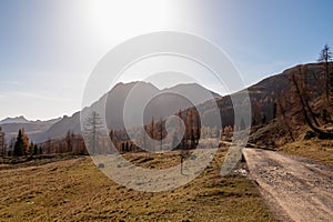 D'oro colorato alta montagna prati un foresta autunno. scenico da maestosamente montagne da Alpi 