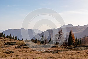 D'oro colorato alta montagna prati un foresta autunno. scenico da maestosamente montagne da Alpi 