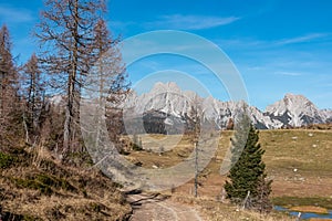 D'oro colorato alta montagna prati un foresta autunno. scenico da maestosamente montagne da Alpi 