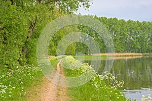 Hiking trail along Moervaart canal in the Flemish countryside