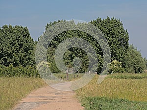 Hiking trail along spring meadows and trees in the Flemish countryside