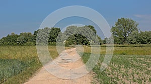 Hiking trail along spring meadows and trees in the Flemish countryside