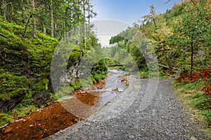 Hiking trail along a stream through the forest in the Belgian Ardennes.