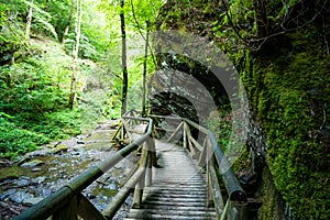Hiking trail along a brook in the forest with wooden bridges photo