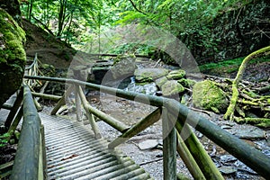 Hiking trail along a brook in the forest with wooden bridges photo