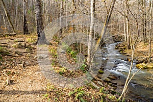 Hiking Trail Along Trout Stream in the Jefferson National Forest