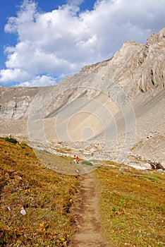 Hiking trail in alpine meadow