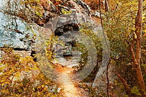 A hiking trail through the autumn forest in Austin Texas photo