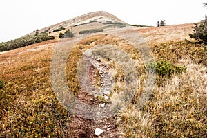 Hiking trail in autumn Mala Fatra mountains