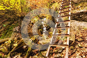 Hiking trail at the autumn mountain forest with waterfall and a ladder