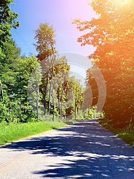 The hiking trail with beautiful summer view