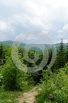 Hiking trail in Bieszczady Mountains, Poland