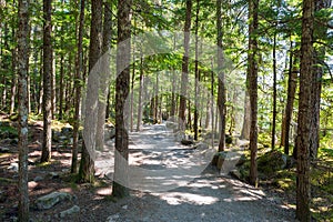 Hiking Trail at Brandywine Falls Provincial Park