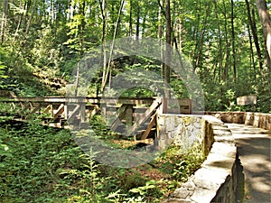 Hiking Trail Bridge in Joyce Kilmer National Forest photo