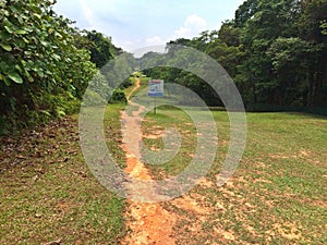 Hiking trail in Bukit Timah nature reserve