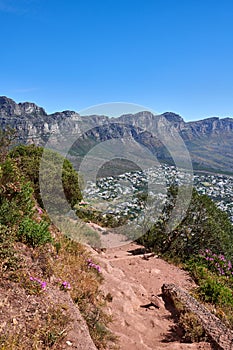 Hiking trail between bushes with a view of the mountains on a blue sky background with copy space. Nature landscape of