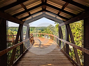 Hiking Trail Canopy Bridge Walkthrough