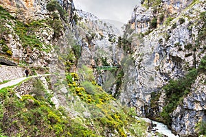 Hiking trail Cares Trail or Ruta del Cares along river Cares in cloudy spring  near Cain, Picos de Europa National Park, provi photo