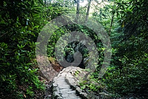 Hiking trail into cave.