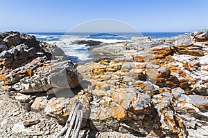 Hiking trail on coast of Tsitsikamma National Park, South Africa