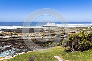 Hiking trail on coast of Tsitsikamma National Park, South Africa