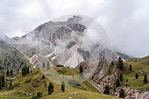 The hiking trail on the Col Raiser plateau above the village of St. Cristina, Italy