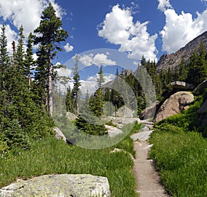 Hiking trail in Colorado Rocky Mountains