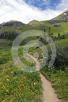 Hiking trail in Colorado Rocky Mountains