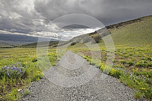 Hiking Trail on Columbia Hills State Park