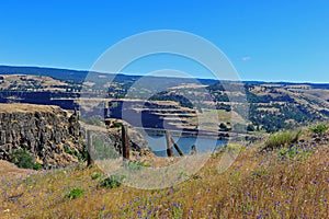 Hiking trail in the Columbia river gorge