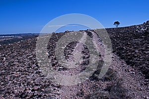 HIKING TRAIL ON THE CONTOUR OF A HILL WITH TREE ON HORIZON